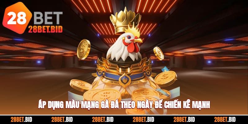 Màu mạng gà đá theo ngày là gì?