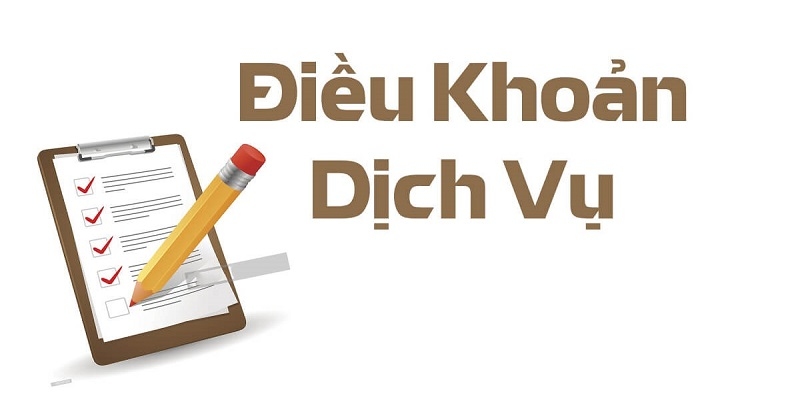 Các quy định cơ bản trong điều khoản 