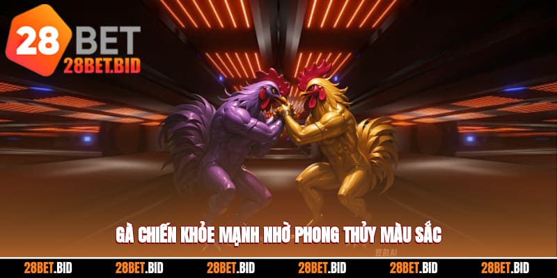 Tầm quan trọng của việc xem màu mạng gà đá theo ngày