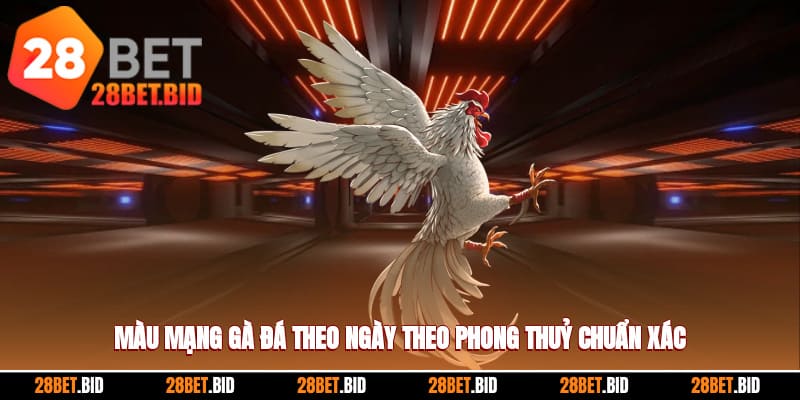 Màu Mạng Gà Đá Theo Ngày Theo Phong Thuỷ Chuẩn Xác Nhất