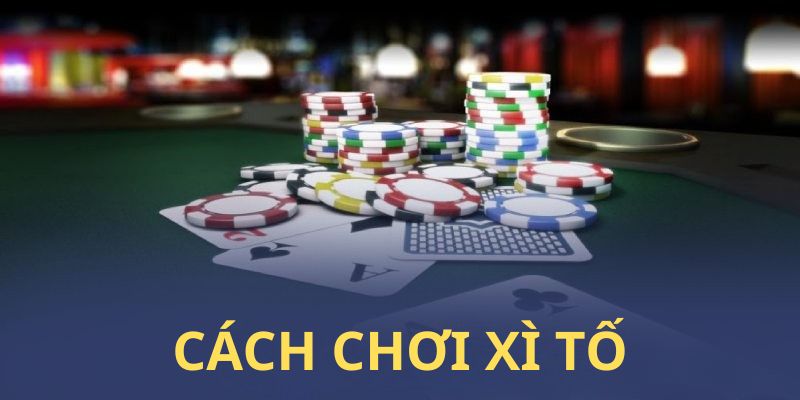 Một số thông tin khái quát về xì tố